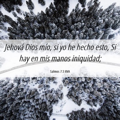 Picture 06 - Salmos 7:3 RVA - Jehová Dios mío, si yo he hecho esto, Si hay en - Bible Verse Picture