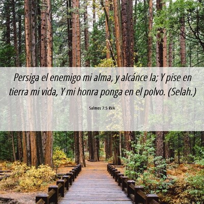 Picture 06 - Salmos 7:5 RVA - Persiga el enemigo mi alma, y alcánce la; Y pise - Bible Verse Picture
