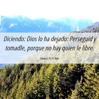 Picture 06 - Salmos 71:11 RVA - Diciendo: Dios lo ha dejado: Perseguid y tomadle, - Bible Verse Picture