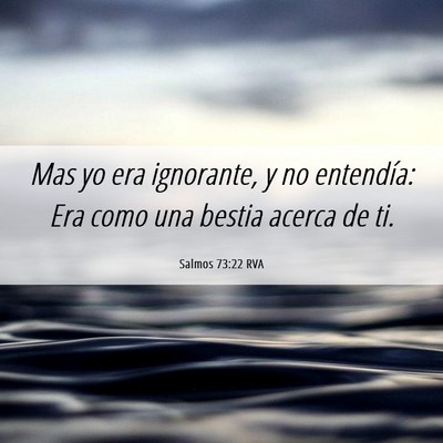 Picture 06 - Salmos 73:22 RVA - Mas yo era ignorante, y no entendía: Era como - Bible Verse Picture