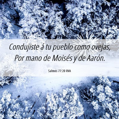Picture 06 - Salmos 77:20 RVA - Condujiste á tu pueblo como ovejas, Por mano de - Bible Verse Picture