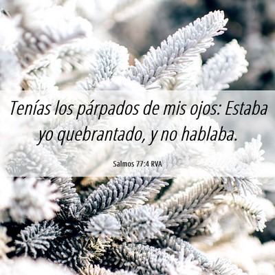 Picture 06 - Salmos 77:4 RVA - Tenías los párpados de mis ojos: Estaba yo - Bible Verse Picture