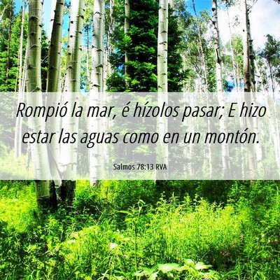 Picture 06 - Salmos 78:13 RVA - Rompió la mar, é hízolos pasar; E hizo estar - Bible Verse Picture