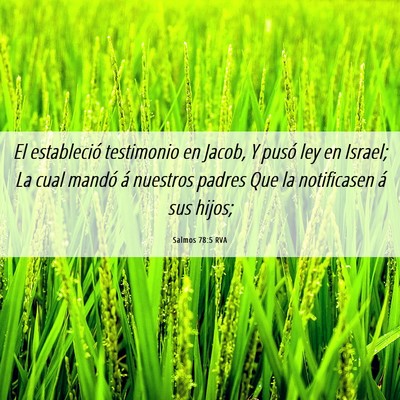 Picture 06 - Salmos 78:5 RVA - El estableció testimonio en Jacob, Y pusó ley - Bible Verse Picture