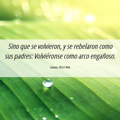 Picture 06 - Salmos 78:57 RVA - Sino que se volvieron, y se rebelaron como sus - Bible Verse Picture