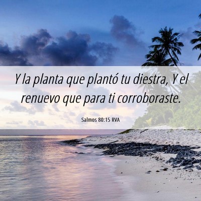 Picture 06 - Salmos 80:15 RVA - Y la planta que plantó tu diestra, Y el renuevo - Bible Verse Picture