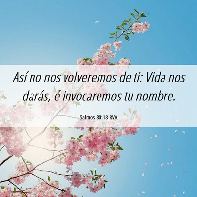 Picture 06 - Salmos 80:18 RVA - Así no nos volveremos de ti: Vida nos darás, é - Bible Verse Picture