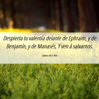 Picture 06 - Salmos 80:2 RVA - Despierta tu valentía delante de Ephraim, y de - Bible Verse Picture