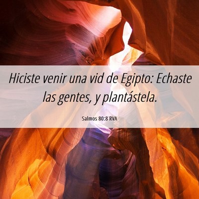 Picture 06 - Salmos 80:8 RVA - Hiciste venir una vid de Egipto: Echaste las - Bible Verse Picture