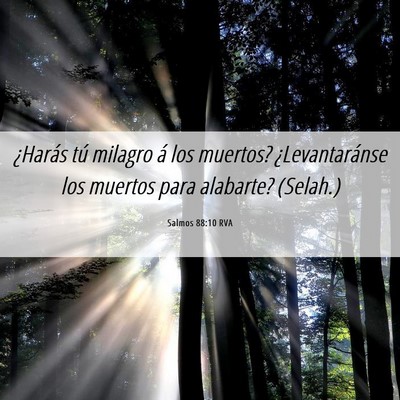 Picture 06 - Salmos 88:10 RVA - ¿Harás tú milagro á los muertos? - Bible Verse Picture