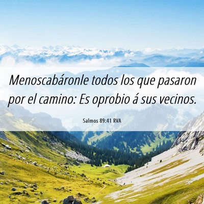 Picture 06 - Salmos 89:41 RVA - Menoscabáronle todos los que pasaron por el - Bible Verse Picture