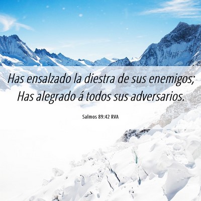 Picture 06 - Salmos 89:42 RVA - Has ensalzado la diestra de sus enemigos; Has - Bible Verse Picture