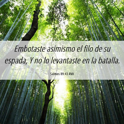 Picture 06 - Salmos 89:43 RVA - Embotaste asimismo el filo de su espada, Y no lo - Bible Verse Picture