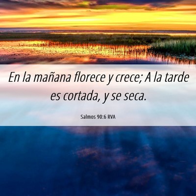 Picture 06 - Salmos 90:6 RVA - En la mañana florece y crece; A la tarde es - Bible Verse Picture