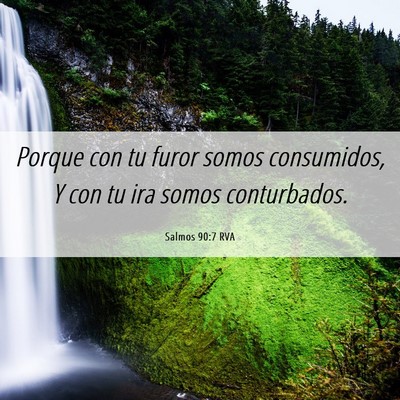 Picture 06 - Salmos 90:7 RVA - Porque con tu furor somos consumidos, Y con tu - Bible Verse Picture