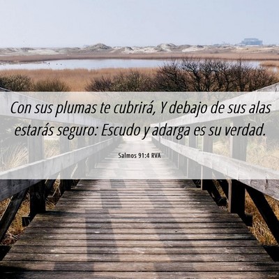 Picture 06 - Salmos 91:4 RVA - Con sus plumas te cubrirá, Y debajo de sus alas - Bible Verse Picture