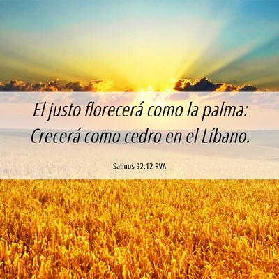 Picture 06 - Salmos 92:12 RVA - El justo florecerá como la palma: Crecerá como - Bible Verse Picture