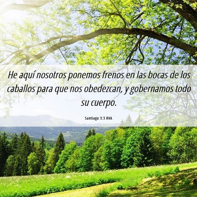 Picture 06 - Santiago 3:3 RVA - He aquí nosotros ponemos frenos en las bocas de - Bible Verse Picture
