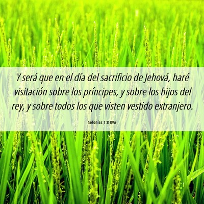 Picture 06 - Sofonías 1:8 RVA - Y será que en el día del sacrificio de Jehová, - Bible Verse Picture