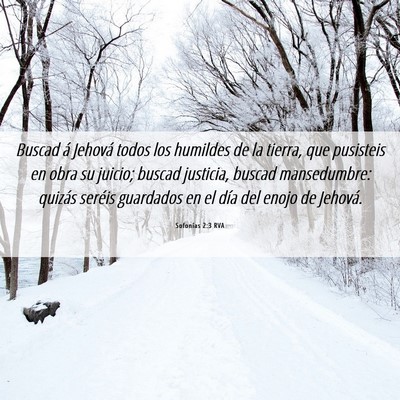 Picture 06 - Sofonías 2:3 RVA - Buscad á Jehová todos los humildes de la - Bible Verse Picture