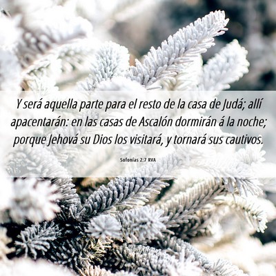 Picture 06 - Sofonías 2:7 RVA - Y será aquella parte para el resto de la casa de - Bible Verse Picture