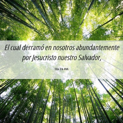 Picture 06 - Tito 3:6 RVA - El cual derramó en nosotros abundantemente por - Bible Verse Picture