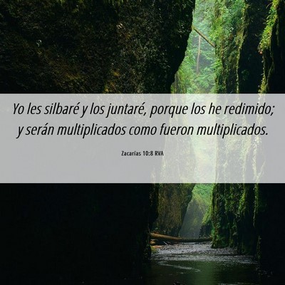 Picture 06 - Zacarías 10:8 RVA - Yo les silbaré y los juntaré, porque los he - Bible Verse Picture