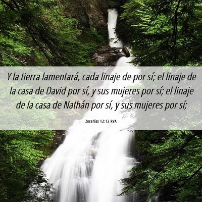 Picture 06 - Zacarías 12:12 RVA - Y la tierra lamentará, cada linaje de por sí; - Bible Verse Picture