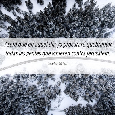 Picture 06 - Zacarías 12:9 RVA - Y será que en aquel día yo procuraré - Bible Verse Picture