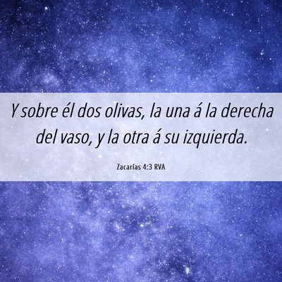 Picture 06 - Zacarías 4:3 RVA - Y sobre él dos olivas, la una á la derecha del - Bible Verse Picture