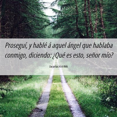 Picture 06 - Zacarías 4:4 RVA - Proseguí, y hablé á aquel ángel que hablaba - Bible Verse Picture