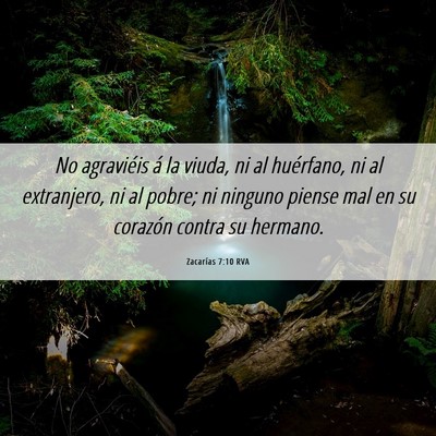 Picture 06 - Zacarías 7:10 RVA - No agraviéis á la viuda, ni al huérfano, ni al - Bible Verse Picture