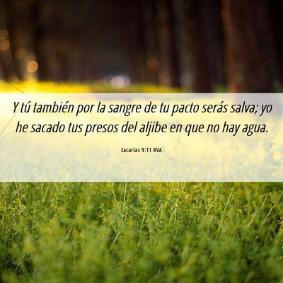 Picture 06 - Zacarías 9:11 RVA - Y tú también por la sangre de tu pacto serás - Bible Verse Picture