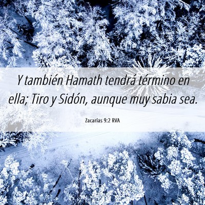 Picture 06 - Zacarías 9:2 RVA - Y también Hamath tendrá término en ella; Tiro - Bible Verse Picture