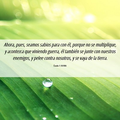 Picture 06 - Éxodo 1:10 RVA - Ahora, pues, seamos sabios para con él, porque - Bible Verse Picture