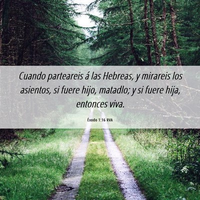 Picture 06 - Éxodo 1:16 RVA - Cuando parteareis á las Hebreas, y mirareis los - Bible Verse Picture
