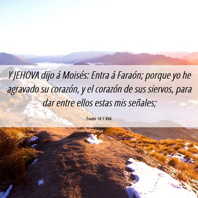 Picture 06 - Éxodo 10:1 RVA - Y JEHOVA dijo á Moisés: Entra á Faraón; - Bible Verse Picture