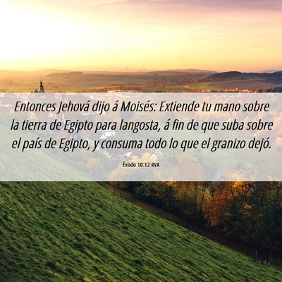 Picture 06 - Éxodo 10:12 RVA - Entonces Jehová dijo á Moisés: Extiende tu - Bible Verse Picture