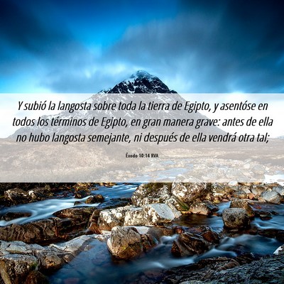 Picture 06 - Éxodo 10:14 RVA - Y subió la langosta sobre toda la tierra de - Bible Verse Picture