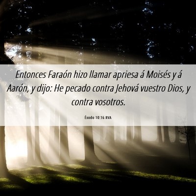 Picture 06 - Éxodo 10:16 RVA - Entonces Faraón hizo llamar apriesa á Moisés y - Bible Verse Picture