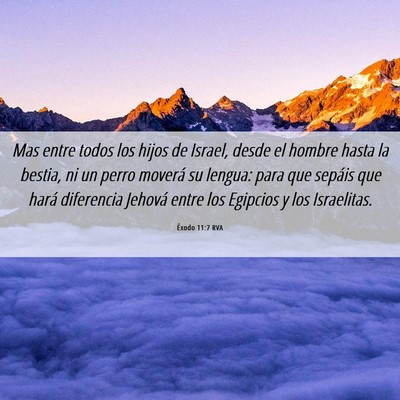 Picture 06 - Éxodo 11:7 RVA - Mas entre todos los hijos de Israel, desde el - Bible Verse Picture