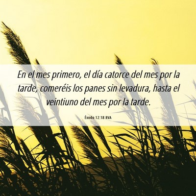 Picture 06 - Éxodo 12:18 RVA - En el mes primero, el día catorce del mes por la - Bible Verse Picture