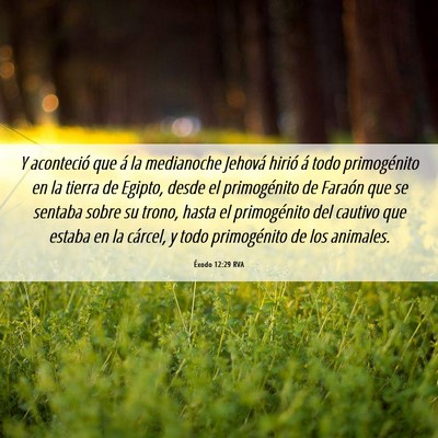 Picture 06 - Éxodo 12:29 RVA - Y aconteció que á la medianoche Jehová hirió - Bible Verse Picture