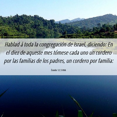 Picture 06 - Éxodo 12:3 RVA - Hablad á toda la congregación de Israel, - Bible Verse Picture