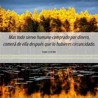 Picture 06 - Éxodo 12:44 RVA - Mas todo siervo humano comprado por dinero, - Bible Verse Picture
