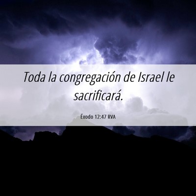 Picture 06 - Éxodo 12:47 RVA - Toda la congregación de Israel le - Bible Verse Picture