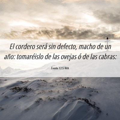 Picture 06 - Éxodo 12:5 RVA - El cordero será sin defecto, macho de un año: - Bible Verse Picture