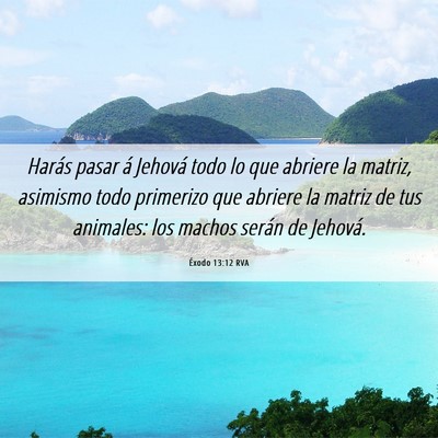 Picture 06 - Éxodo 13:12 RVA - Harás pasar á Jehová todo lo que abriere la - Bible Verse Picture