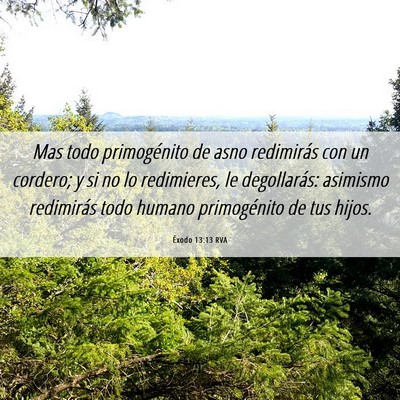Picture 06 - Éxodo 13:13 RVA - Mas todo primogénito de asno redimirás con un - Bible Verse Picture