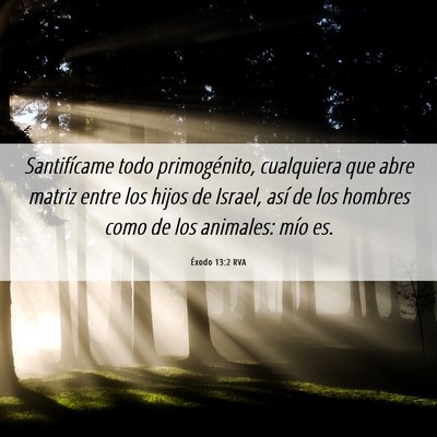 Picture 06 - Éxodo 13:2 RVA - Santifícame todo primogénito, cualquiera que - Bible Verse Picture